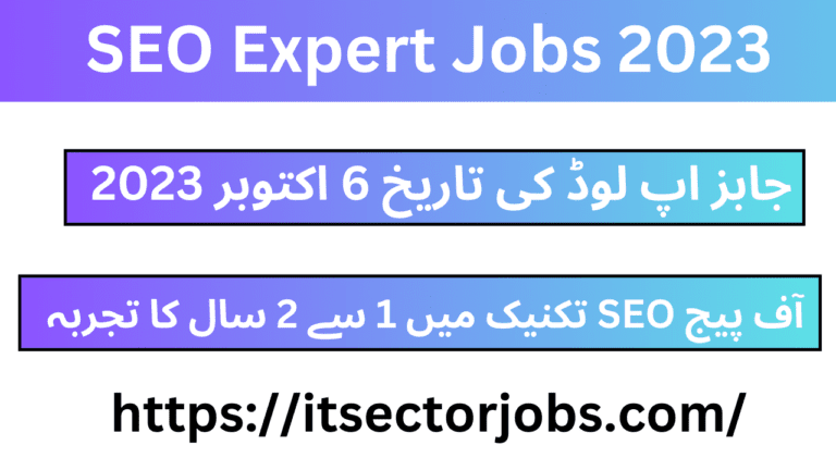 SEO Expert Jobs