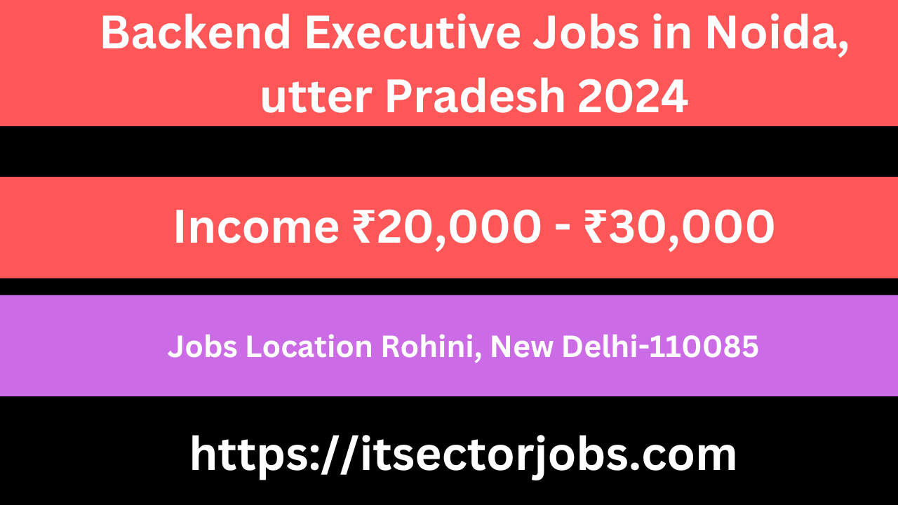 Backend Executive Jobs in Noida
